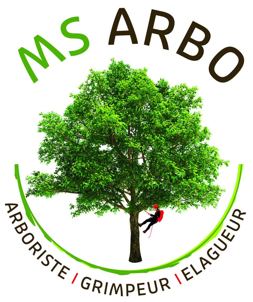 Logo MS ARBO élagage et taille d'arbre 48000