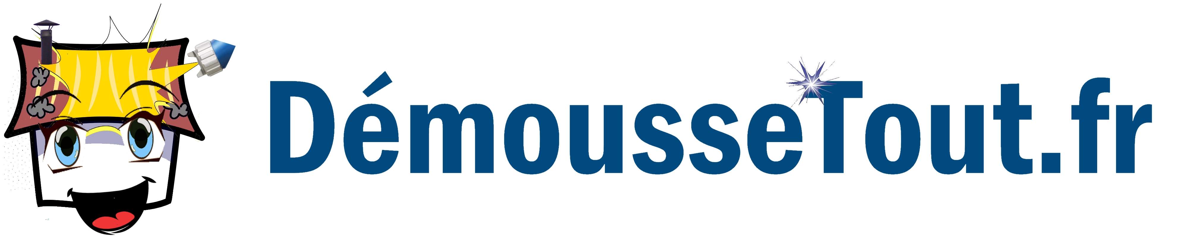 Logo DémousseTout.Fr traitement anti-humidité et infiltration d'eau Oise 60