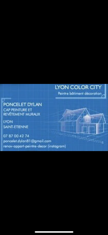 Logo Lyon color city peinture intérieure Lyon 69000