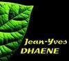 Logo dhaene jean yves pose de store banne Vienne 86