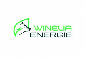 Logo WINELIA ENERGIE installation de panneaux photovoltaïques 31150