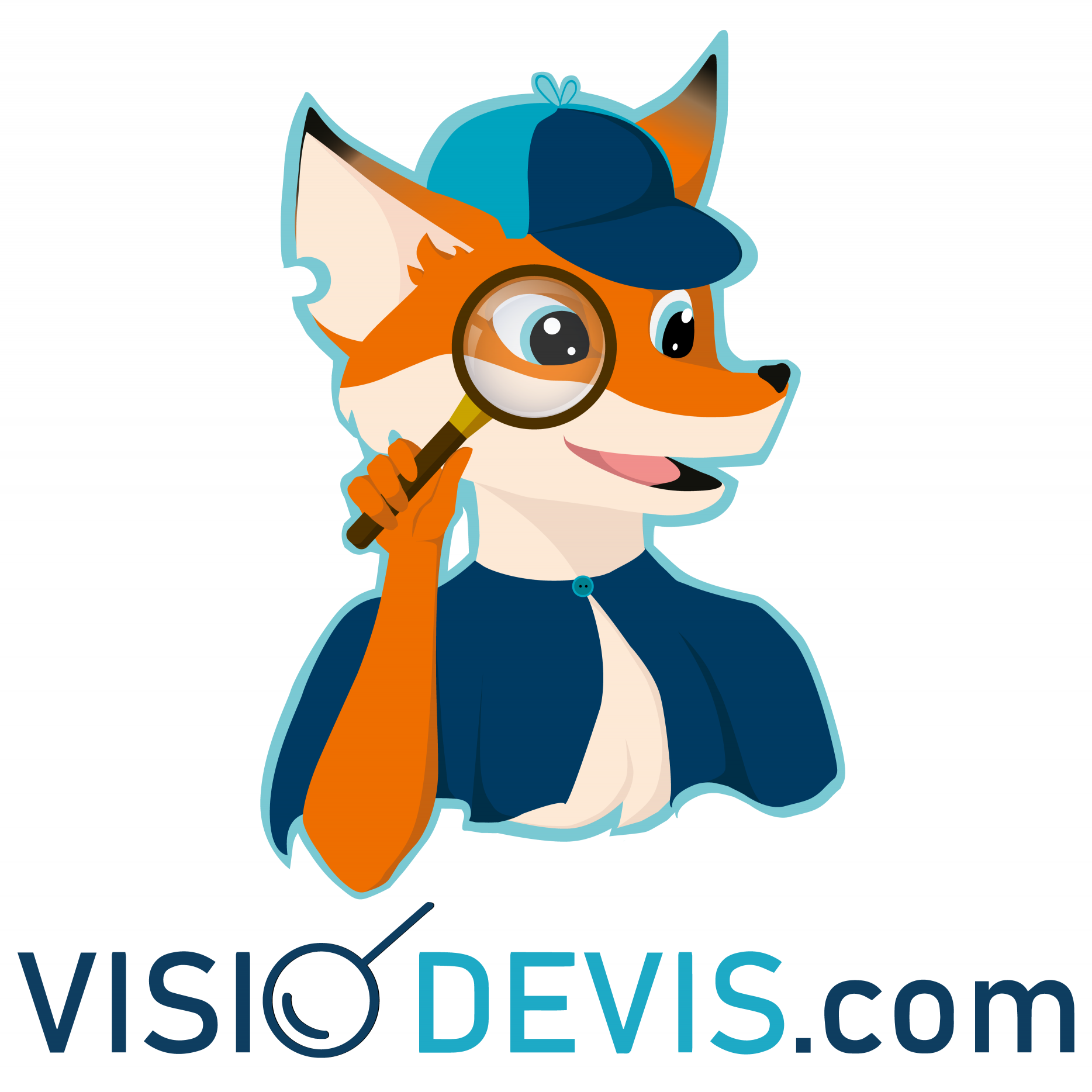 Logo Visiodevis.com installation de panneaux photovoltaïques 34000