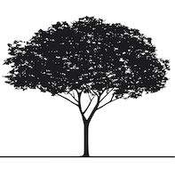 Logo Arbres et Solutions élagage et taille d'arbre 31000