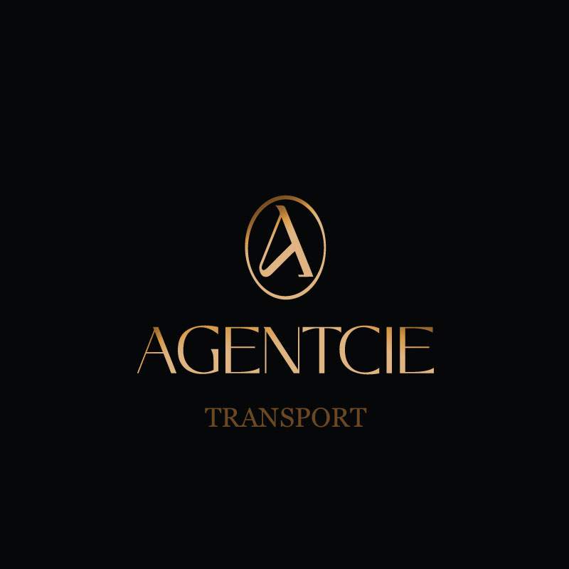 Logo Agentcie Transport déménagement Lot 46