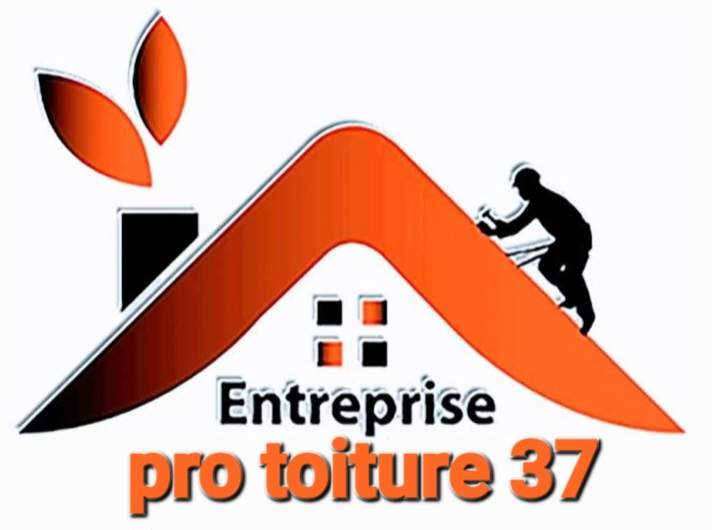 Logo Pro toiture37 pose de couverture en ardoise Indre-et-Loire 37