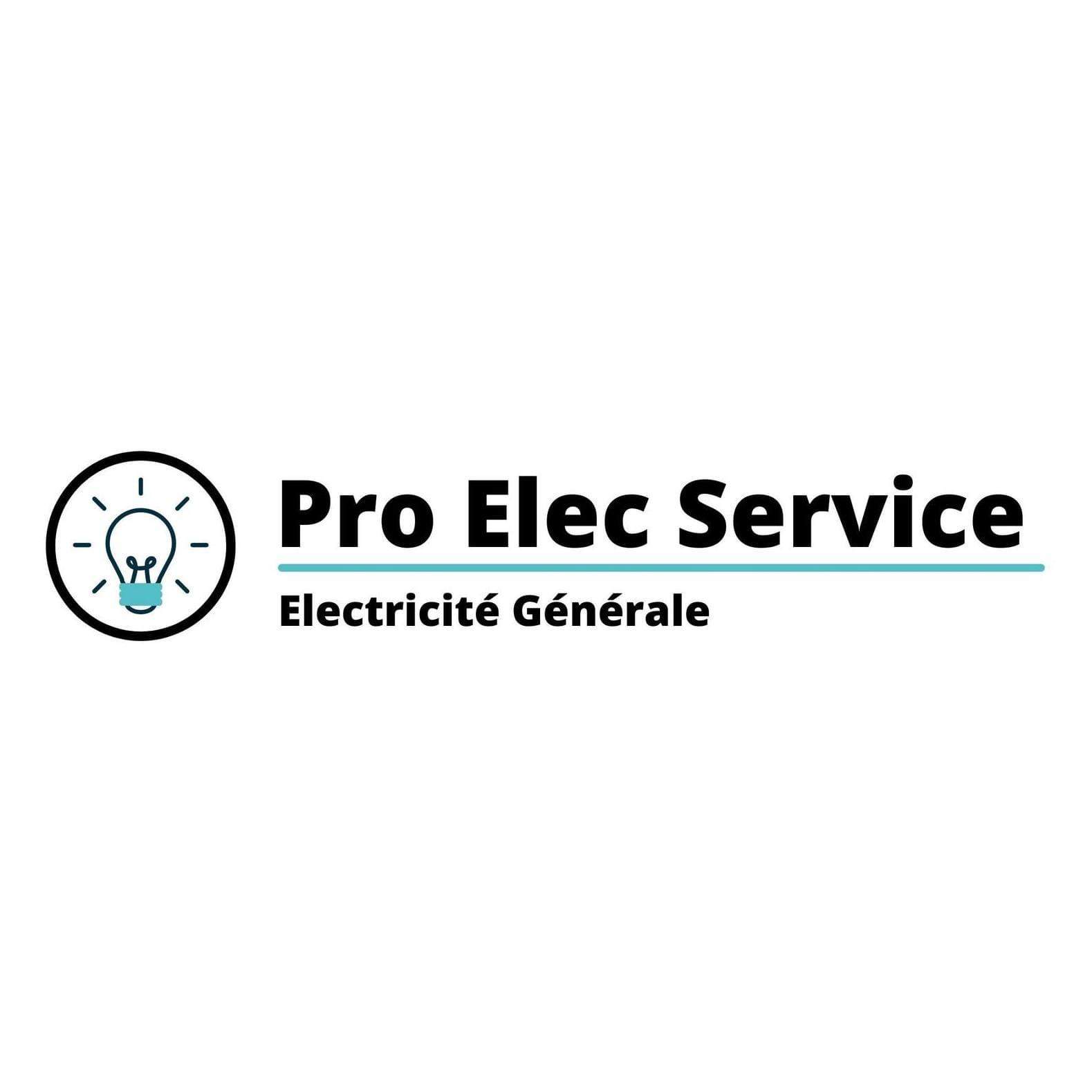 Logo Pro Elec Service dépannage d'urgence et réparation de fuite 31470