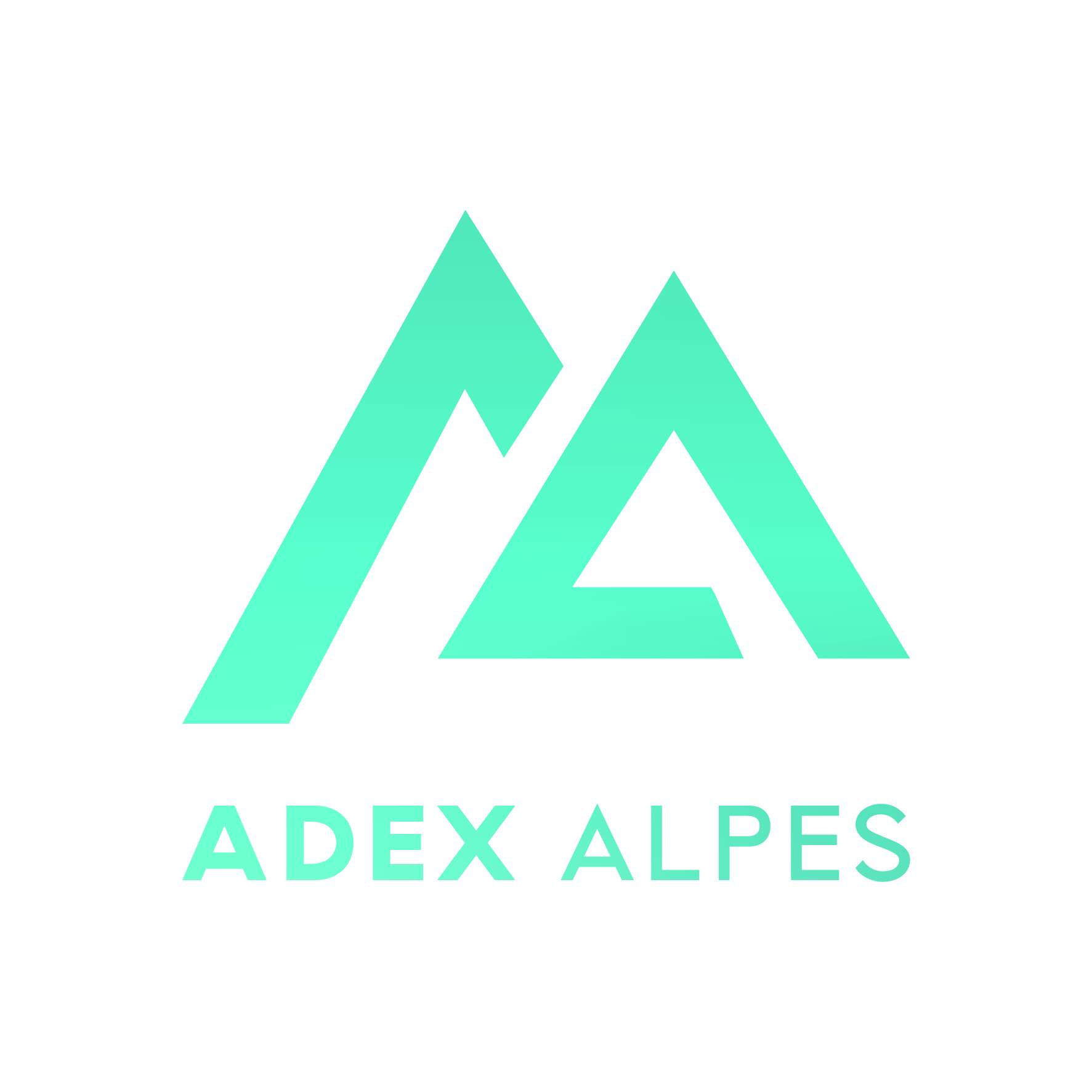 Logo ADEX ALPES gestion de propriété foncière et délimitation de terrain 73370