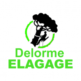 Logo DELORME ELAGAGE pose de store banne 49400