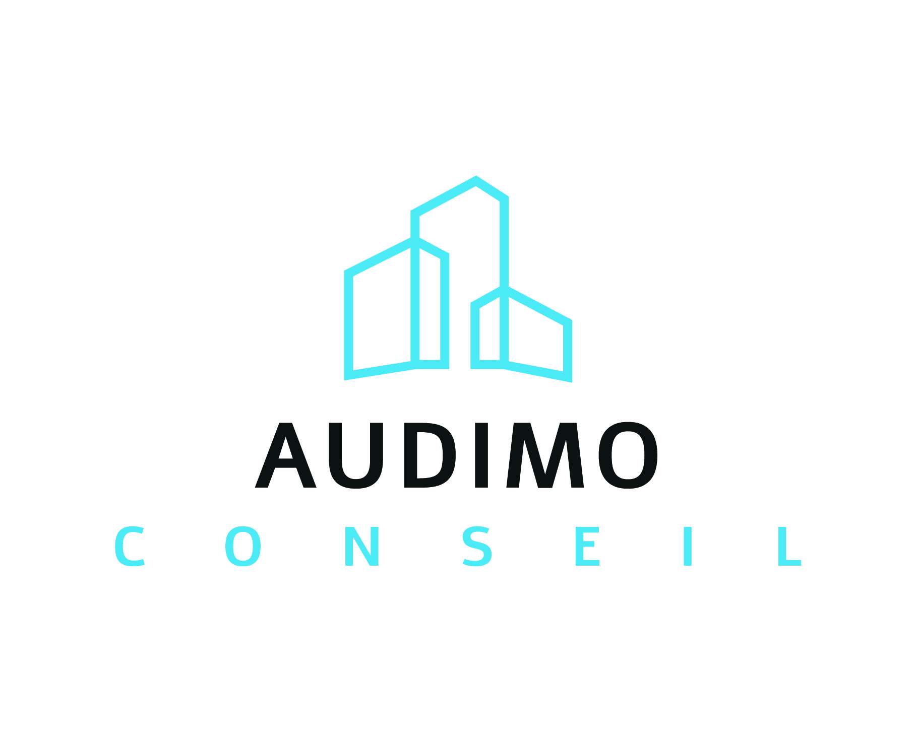 Logo Audimo conseil traitement anti-humidité et infiltration d'eau 69160