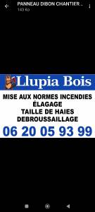 Llupia bois élagueur Pyrénées Orientales 66 Logo Llupia bois élagage et taille d'arbre Pyrénées Orientales 66