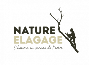 Logo NATURE ELAGAGE SARL élagage et taille d'arbre Mayenne 53