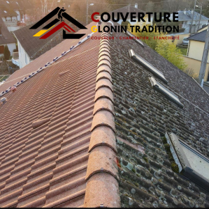 Logo Couverture Glonin Tradition traitement du bois contre les termites et insectes Pyrénées Orientales 66