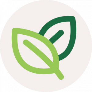 DP Élagage paysagiste 87000 Logo DP Élagage aménagement des espaces verts et extérieurs 87000