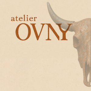 Logo OVNY installation de portail et motorisation Vendée 85