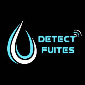 DETECT FUITES diagnostiqueur immobilier Loire-Atlantique 44 Logo DETECT FUITES diagnostic immobilier Loire-Atlantique 44