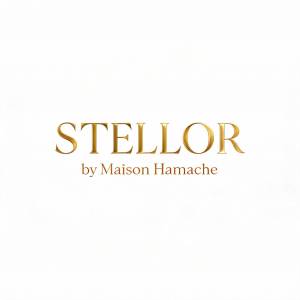 Stellor by Maison Hamache poseur de parquet Alpes-Maritimes 06 Logo Stellor by Maison Hamache pose de parquet ponçage vitrification Alpes-Maritimes 06