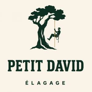 Petit David Élagage élagueur 56270 Logo Petit David Élagage élagage et taille d'arbre 56270