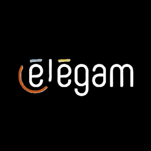 Logo Elegam installation de cuisine 59200